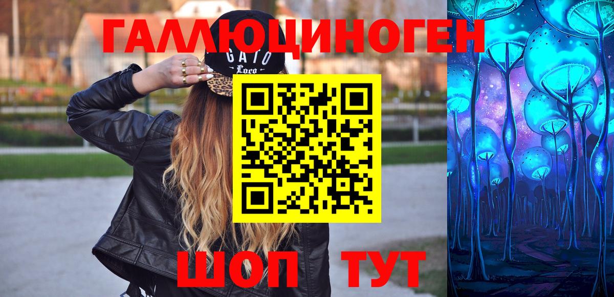 Галлюциногенные грибы прущие грибы  Вышний Волочёк 