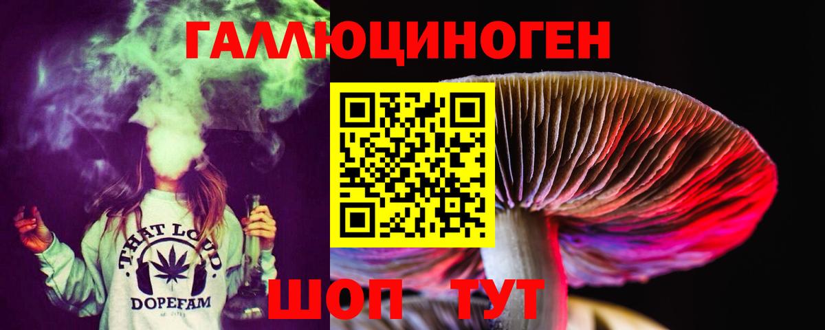 Псилоцибиновые грибы мухоморы Вышний Волочёк