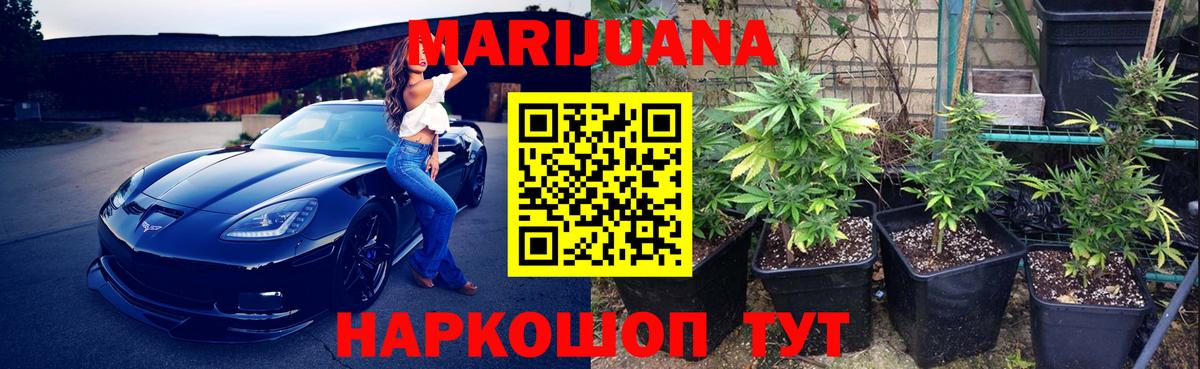 Каннабис марихуана  Вышний Волочёк  Каннабис White Widow 